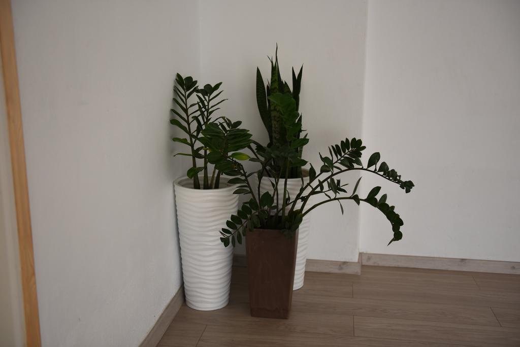 Antonis Apts, Physio Fitness Retreats Daire